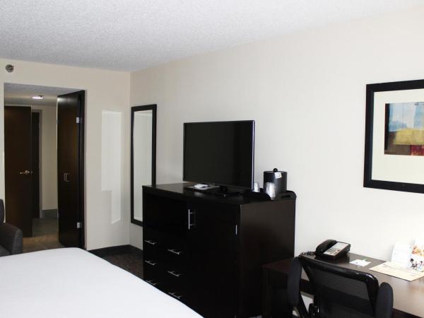 Holiday Inn Hotel Atlanta-Northlake, a Full Service Hotel : photo 6 de la chambre chambre lit king-size - non-fumeurs