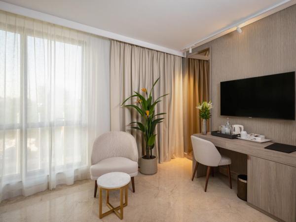 Hotel Royal ASBU Tunis : photo 4 de la chambre chambre double deluxe avec douche