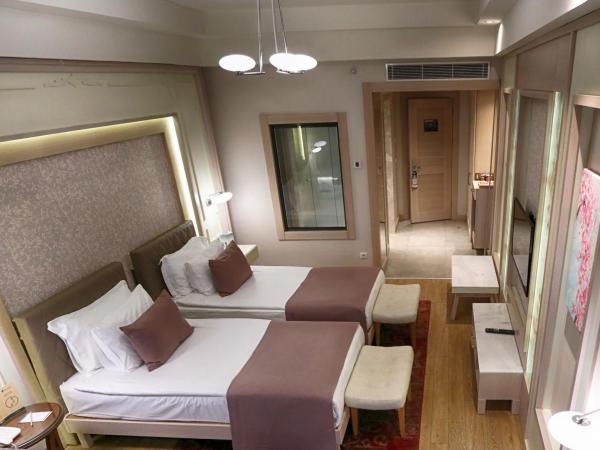 The Green Park Ankara : photo 3 de la chambre chambre lits jumeaux standard