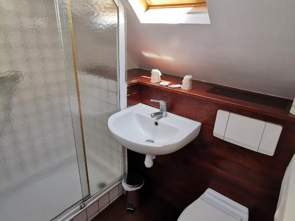 Hotel La Résidence Manoir De La Salamandre : photo 3 de la chambre chambre double avec douche