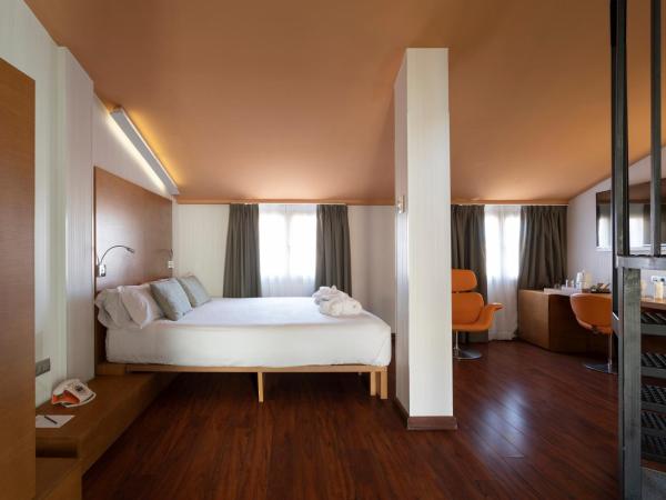 Petit Palace Plaza Málaga : photo 3 de la chambre chambre double avec terrasse