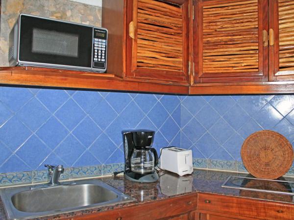 Casa del Mar Cozumel Hotel & Dive Resort : photo 9 de la chambre cabine de luxe avec terrasse - vue sur jardin