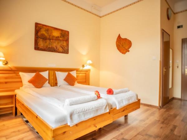 Manzard Panzio : photo 4 de la chambre chambre double ou lits jumeaux