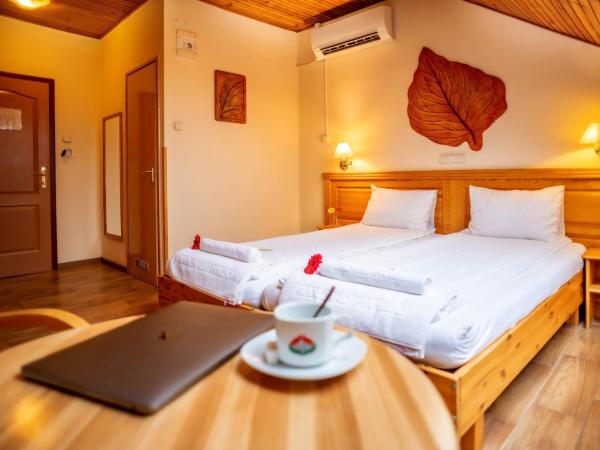 Manzard Panzio : photo 10 de la chambre chambre double ou lits jumeaux