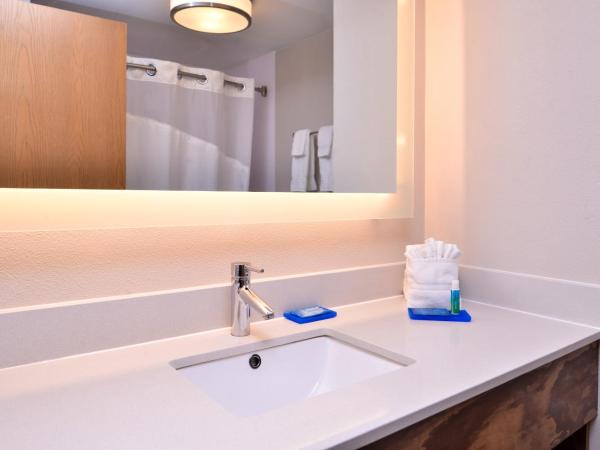 Holiday Inn Express Hotel & Suites Tampa-Anderson Road-Veterans Exp, an IHG Hotel : photo 6 de la chambre chambre standard