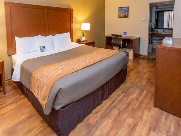 Comfort Inn Downtown : photo 3 de la chambre chambre lit king-size standard - non-fumeurs