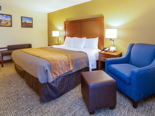 Comfort Inn Downtown : photo 4 de la chambre chambre lit king-size standard - non-fumeurs