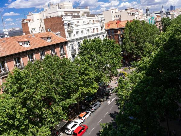 Wellington Hotel & Spa Madrid : photo 3 de la chambre chambre double – vue sur ville