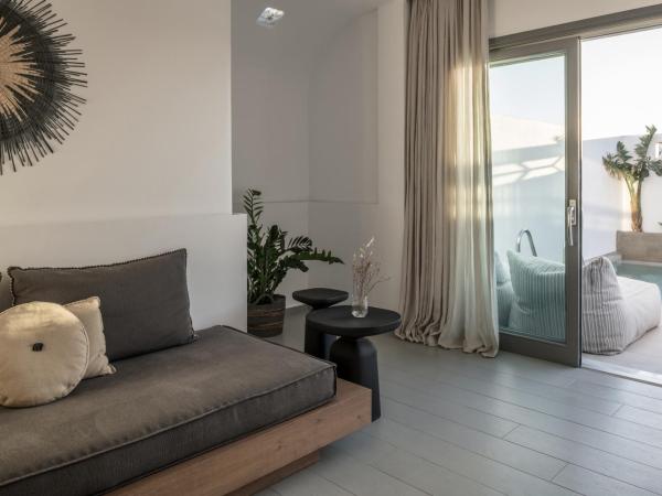 A Hotel Mykonos : photo 4 de la chambre grande suite familiale avec piscine privée