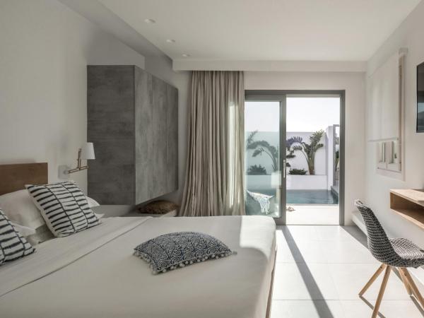 A Hotel Mykonos : photo 3 de la chambre suite familiale supérieure avec piscine privée