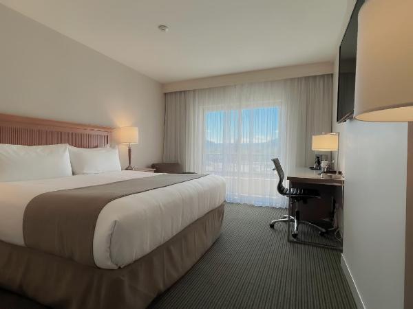 Coast Capri Hotel : photo 4 de la chambre chambre supérieure côte avec 1 lit king-size