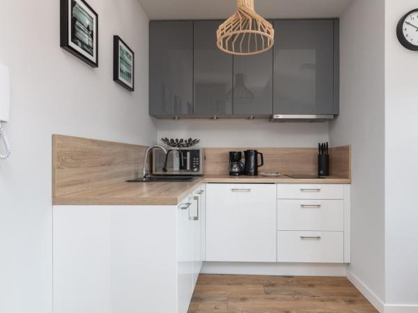 Podczele Seashore SPA & Jacuzzi Apartments with Parking by Noclegi Renters : photo 3 de la chambre studio avec canapé-lit