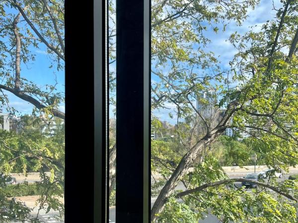 MD Modern Hotel - Jardines : photo 8 de la chambre chambre double supérieure avec vues