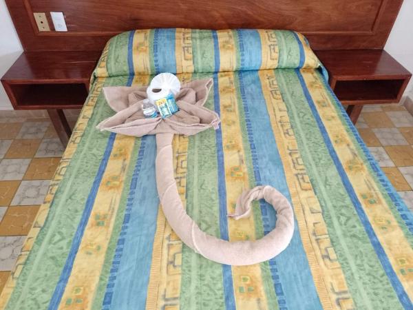 Hotel Verasol : photo 6 de la chambre chambre double