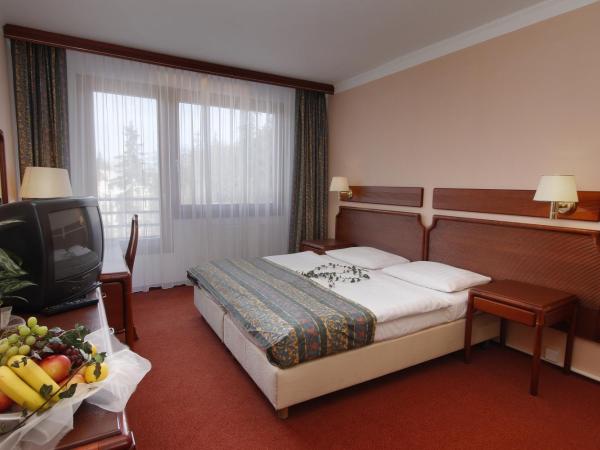 Hotel Krakonoš : photo 4 de la chambre chambre double ou lits jumeaux