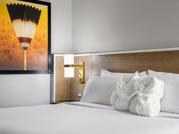 Wyndham Garden Winnipeg Airport : photo 4 de la chambre chambre lit king-size adaptée aux personnes malentendantes - non-fumeurs