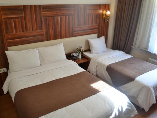 Grand Fatih Hotel : photo 3 de la chambre chambre triple standard