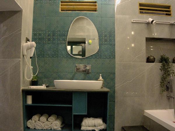 Moustache Udaipur : photo 4 de la chambre chambre double supérieure