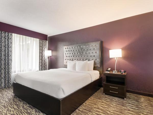 Clarion Inn & Suites Across From Universal Orlando Resort : photo 5 de la chambre chambre lit queen-size - non-fumeurs - sans frais de service