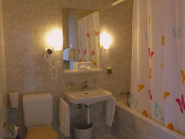 Hotel Central Continental : photo 2 de la chambre chambre triple