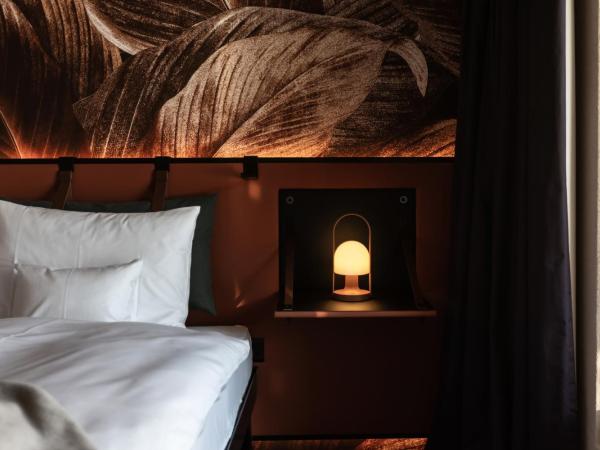 Aves Arosa : photo 9 de la chambre lifestyle mountain view room with balcony