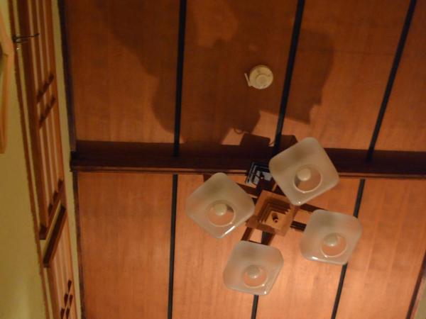 Hostel Caranashi : photo 5 de la chambre chambre simple