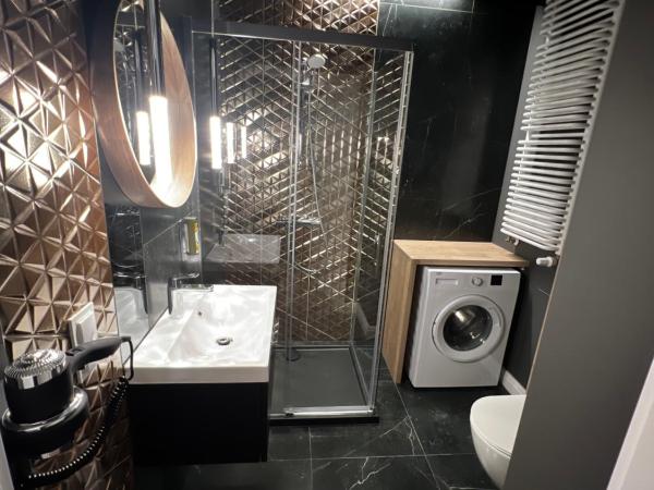 Silesia Aparthotel : photo 4 de la chambre appartement en duplex