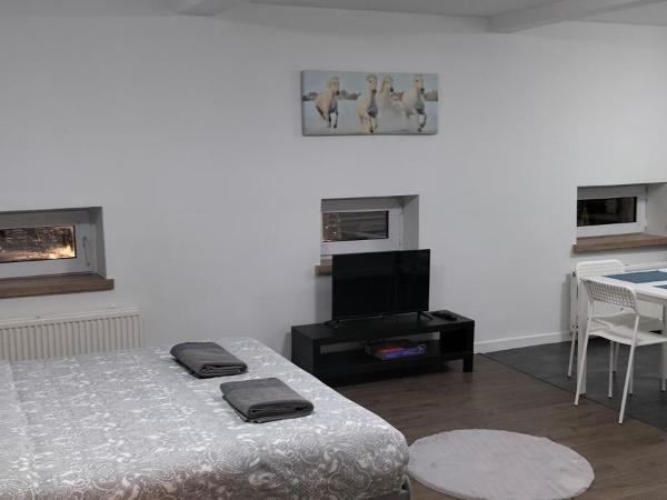 Super central in Brussels : photo 4 de la chambre studio supérieur