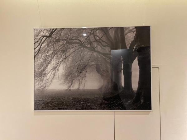 Artravel Myeongdong : photo 7 de la chambre chambre quadruple supérieure