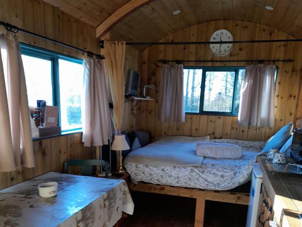 Lower Haven Shepherds Hut : photo 9 de la chambre chambre double deluxe avec douche