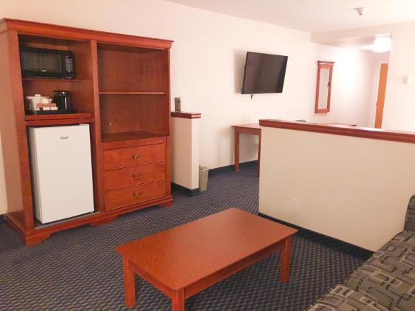 Days by Wyndham Niagara Falls Centre St. By the Falls : photo 9 de la chambre chambre lit king-size avec canapé-lit