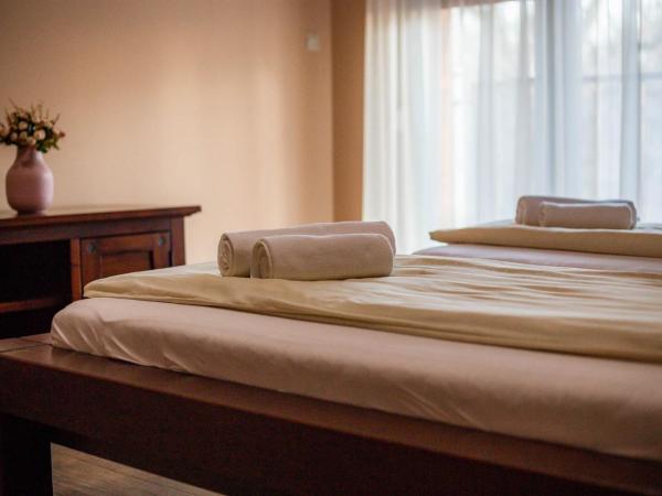 Maya Panzio-Rezidencia : photo 9 de la chambre suite en duplex