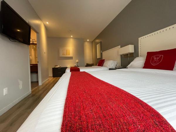 Hotel du Nord : photo 3 de la chambre chambre avec 2 grands lits queen-size 