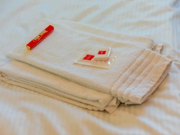 Zentrum Haus Davos : photo 5 de la chambre chambre double avec salle de bains privative