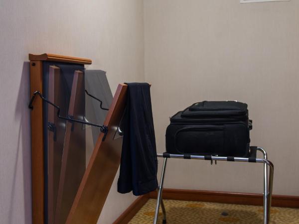 Dila Hotel : photo 10 de la chambre chambre standard