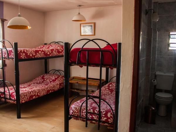 Hostel Like Quijote : photo 3 de la chambre chambre familiale avec salle de bains