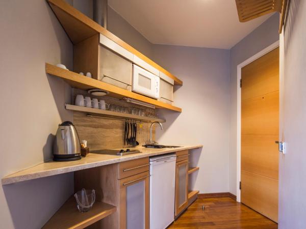 Taxim Suites Residences Istanbul : photo 5 de la chambre suite avenue - vue sur parc gezi