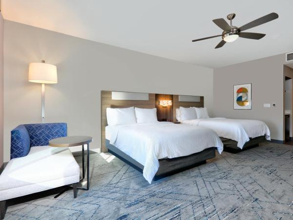 Holiday Inn Express & Suites North Dallas at Preston, an IHG Hotel : photo 3 de la chambre chambre avec 2 grands lits queen-size 