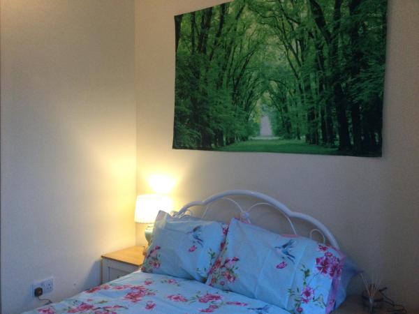 TDM Bachelot Lettings Ltd : photo 5 de la chambre grande chambre simple