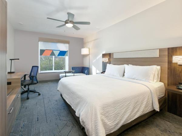 Holiday Inn Express & Suites North Dallas at Preston, an IHG Hotel : photo 7 de la chambre chambre standard