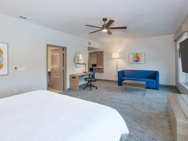 Holiday Inn Express & Suites North Dallas at Preston, an IHG Hotel : photo 6 de la chambre chambre king standard avec canapé-lit