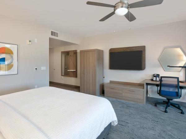 Holiday Inn Express & Suites North Dallas at Preston, an IHG Hotel : photo 5 de la chambre chambre lit king-size