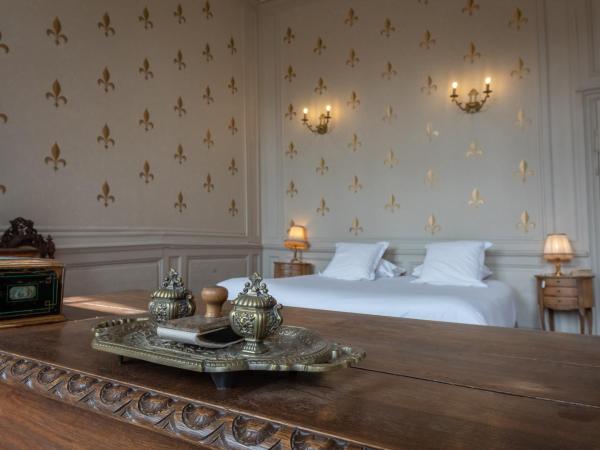 L'Hotel de Panette, Un exceptionnel château en ville - Cathédrale : photo 7 de la chambre chambre double ou lits jumeaux « le marquis de tristan »