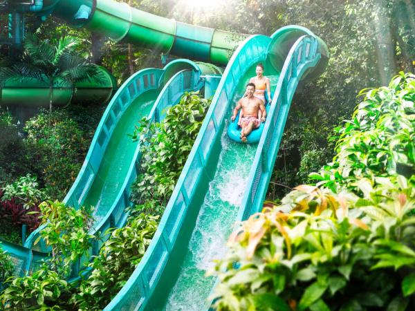 Resorts World Sentosa - Equarius Hotel : photo 8 de la chambre 3d2n exclusive team wang design amenities package - deluxe room with complimentary one-day tickets for 2 adults to adventure cove waterpark