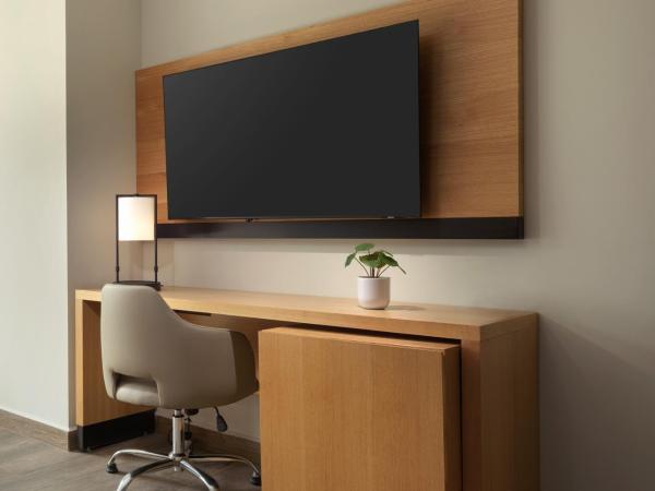 Hyatt Place Monterrey Valle : photo 4 de la chambre chambre lit king-size avec canapé-lit et douche accessible en fauteuil roulant - accessible aux personnes à mobilité réduite