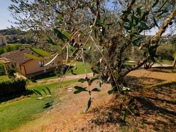 Borgo Grondaie : photo 1 de la chambre chambre double