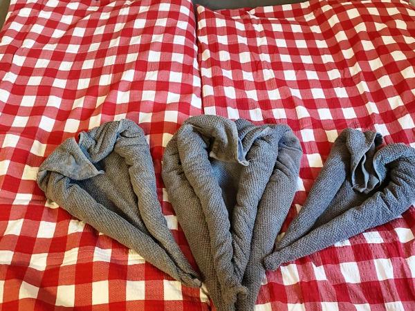 Hotel Waldhorn : photo 4 de la chambre chambre double avec salle de bains privative