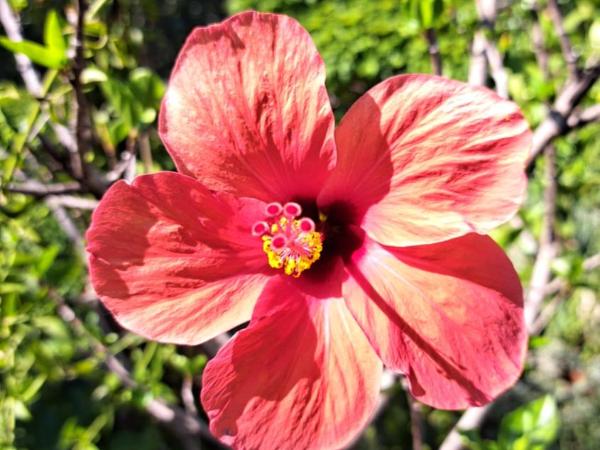 Boutique Hotel Casa Rugantino : photo 2 de la chambre chambre simple avec salle de bains