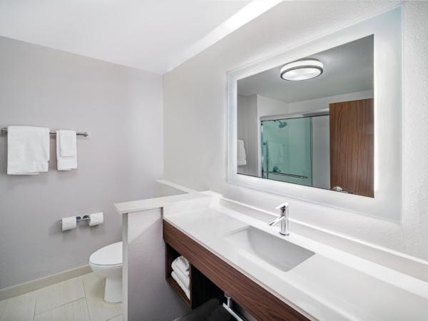 Holiday Inn Express & Suites - Houston - N Downtown, an IHG Hotel : photo 7 de la chambre chambre lit king-size standard