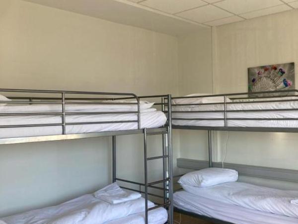 Baron's Hostel : photo 2 de la chambre lit superposé dans dortoir pour femmes de 4 lits